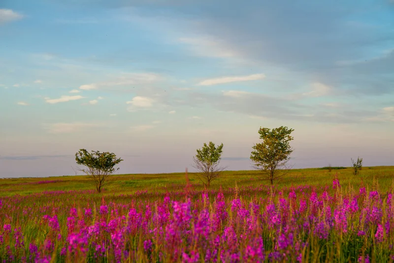 Niebieska kompozycja z prostymi kształtami